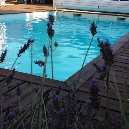 Ma Maison Familiale Portesienne Portets