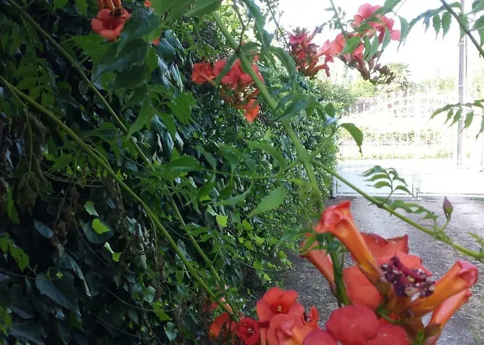 Дом отдыха Ma Maison Familiale Portesienne